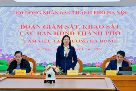 Các Ban của HĐND Thành phố giám sát tại phường Hà Đông