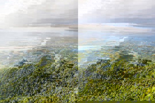 UBND Thành phố chỉ đạo triển khai các Nghị quyết của HĐND về chính sách lâm nghiệp và hỗ trợ dịch bệnh động vật