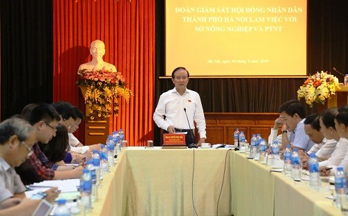 Giám sát công tác cải cách hành chính, tinh giản biên chế tại Sở Nông nghiệp & PTNT