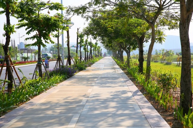 Sẽ giám sát việc đặt hàng, đấu thầu cung ứng dịch vụ công thuộc lĩnh vực đô thị