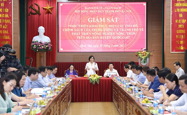 Giám sát việc thực hiện các cơ chế, chính sách về phát triển nông nghiệp, nông thôn tại huyện Quốc Oai 