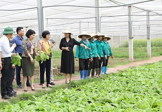 Tiếp tục giám sát việc triển khai chính sách phát triển nông nghiệp, nông thôn tại huyện Thường Tín