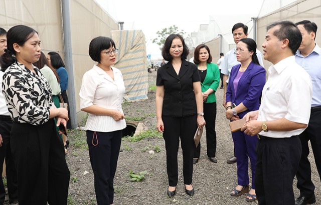 Huyện Phúc Thọ: Nhiều cơ chế, chính sách trong phát triển nông nghiệp, nông thôn đã đi vào cuộc sống 