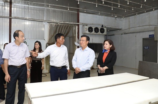 Ban Văn hóa-Xã hội HĐND Thành phố giám sát tại huyện Thanh Oai về giải quyết việc làm cho lao động 