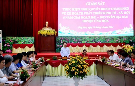 Giám sát việc thực hiện kế hoạch phát triển kinh tế-xã hội tại huyện Ứng Hoà 