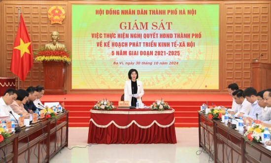 Giám sát việc thực hiện chỉ tiêu phát triển kinh tế - xã hội tại huyện Ba Vì